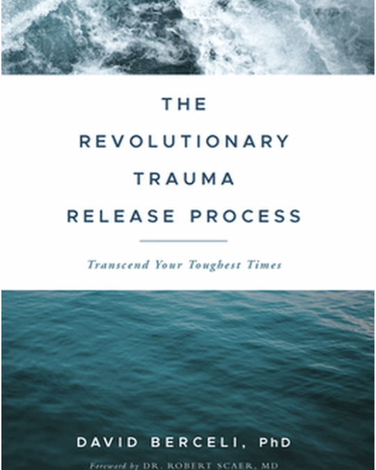 The Revolutionary Trauma Release Process – David Berceli (English)