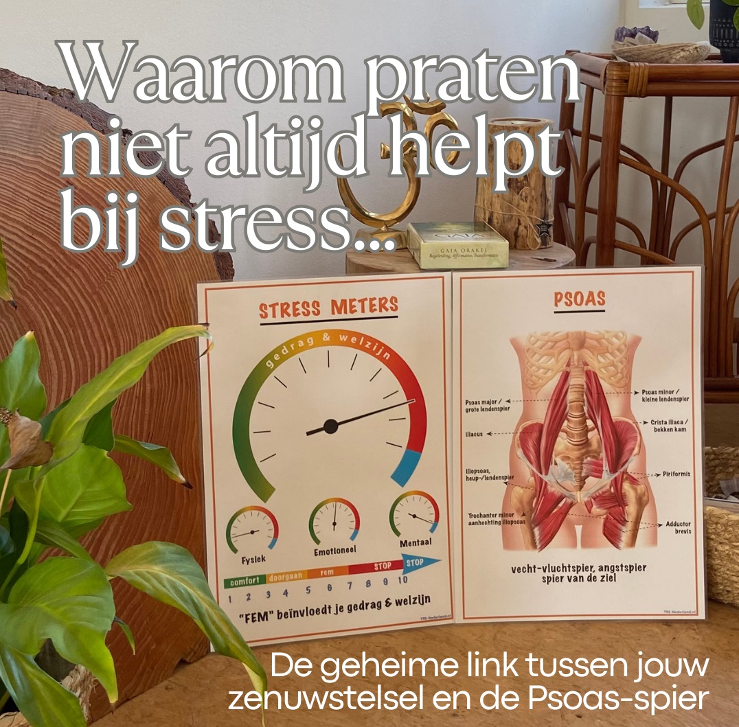 Workshop TRE - "Reguleren kan je Leren' (3x) Apeldoorn