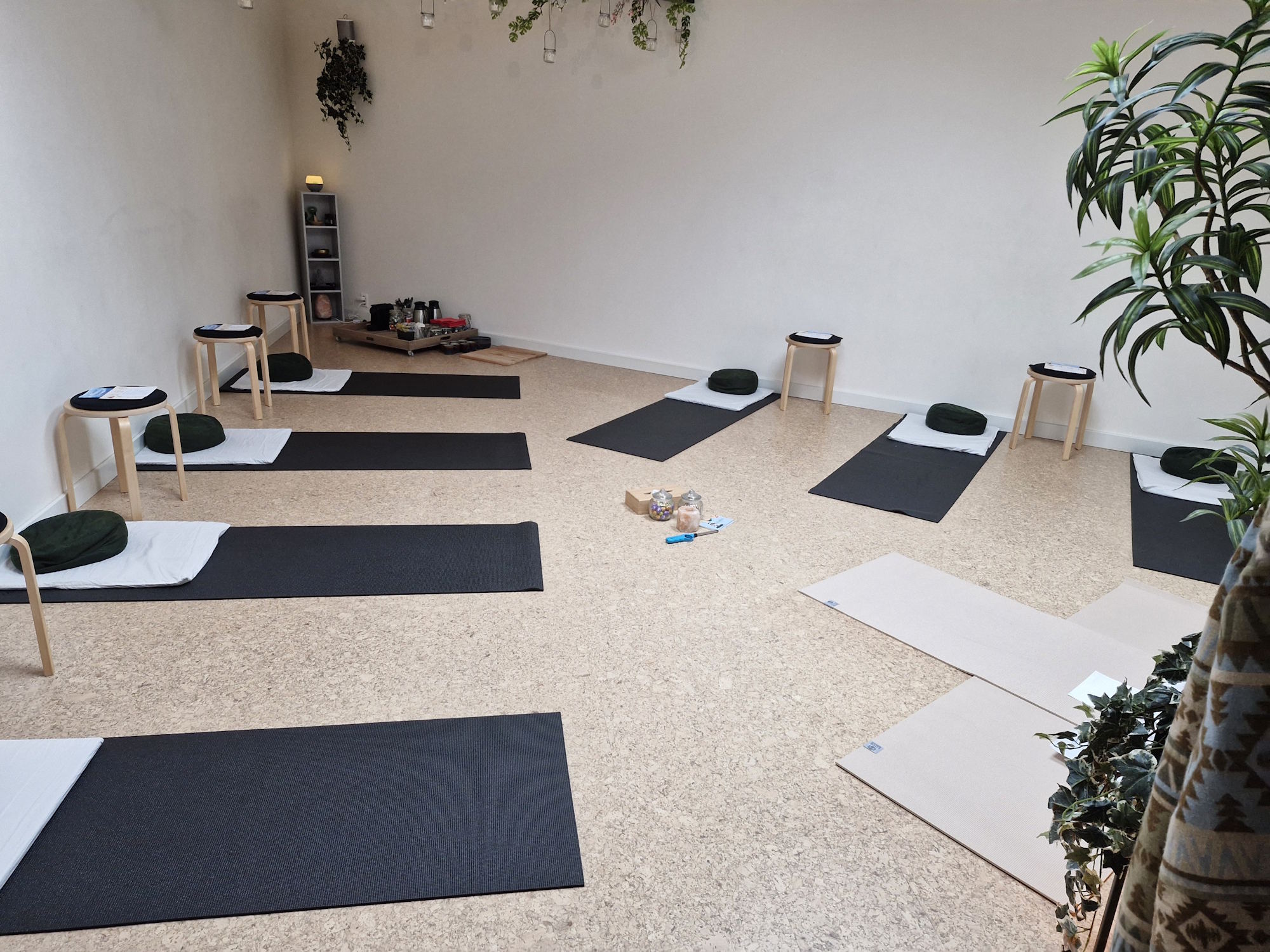 Introductieworkshop TRE
